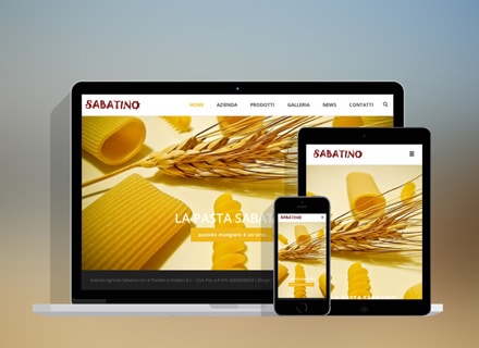 Creazione siti web Ancona