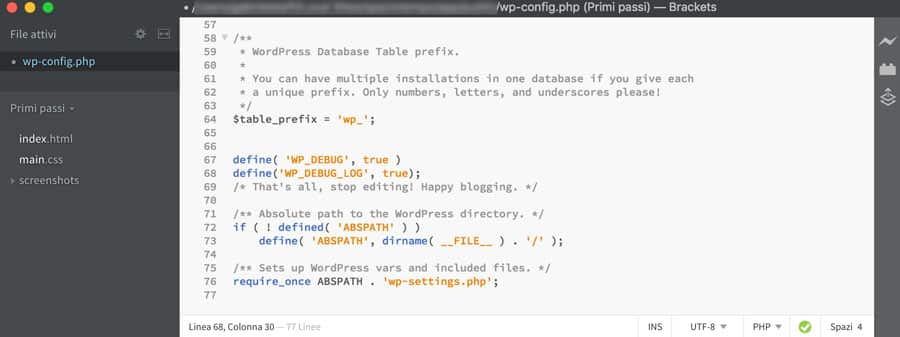 attivare wp debug log wordpress