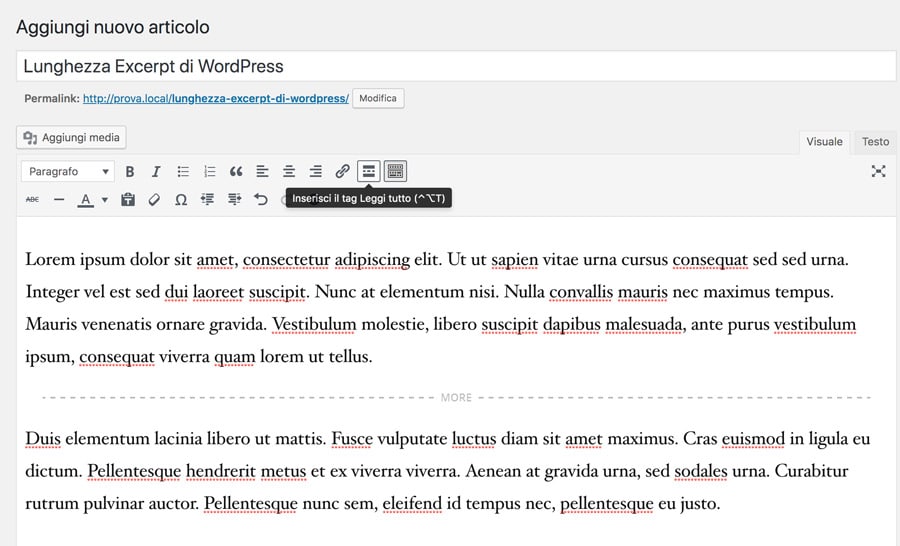 Excerpt in WordPress