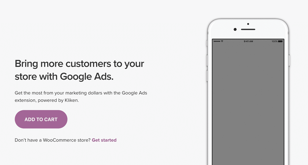 L'estensione Google Ads for WooCommerce.