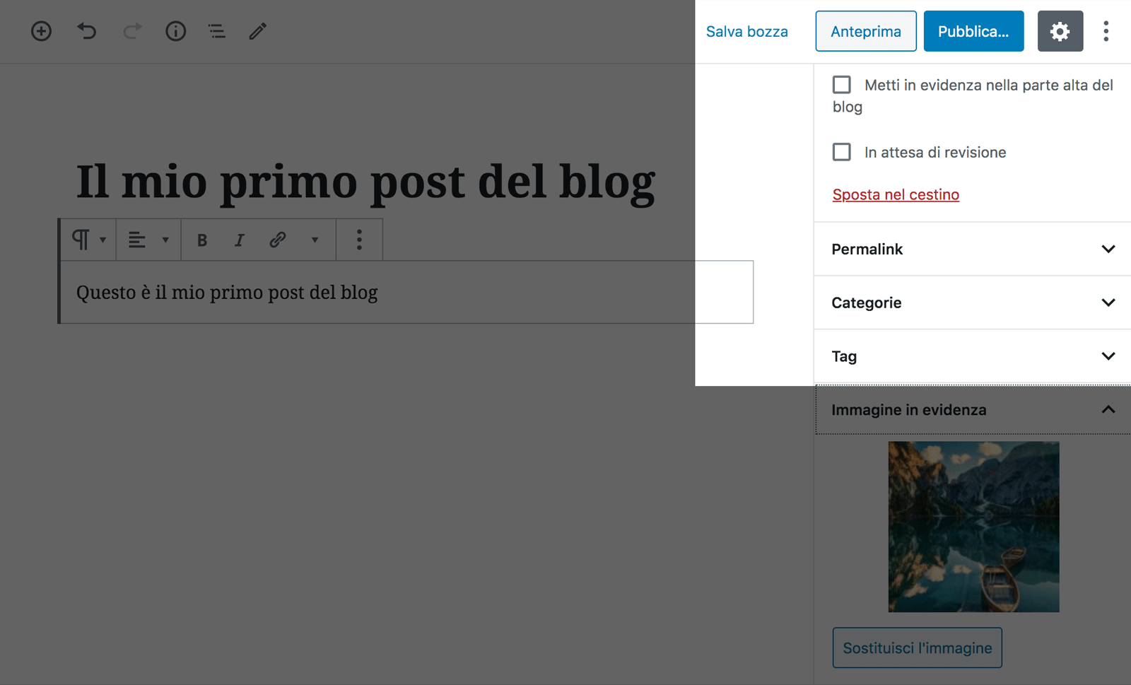 Fai clic sul pulsante Anteprima o Pubblica per visualizzare il post del tuo blog.