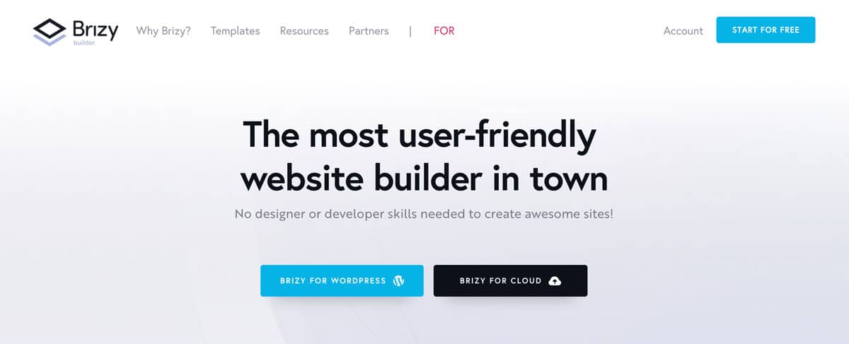 Brizy page builder