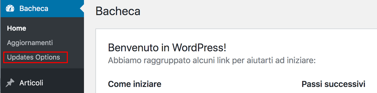 Dove configurare le opzioni di aggiornamento nel menu di WordPress