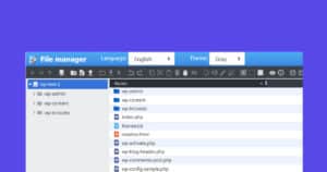 I migliori plugin di file manager per WordPress