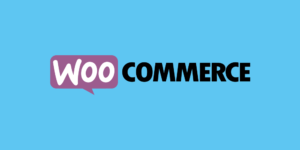 I migliori plugin per esportare ordini WooCommerce (gratuiti e premium)