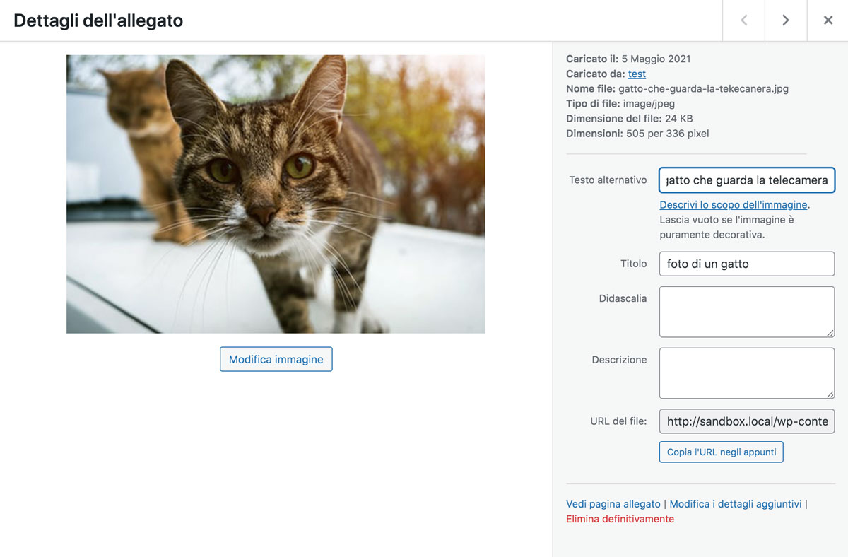 Aggiunta di un'immagine di gatto alla libreria multimediale di WordPress