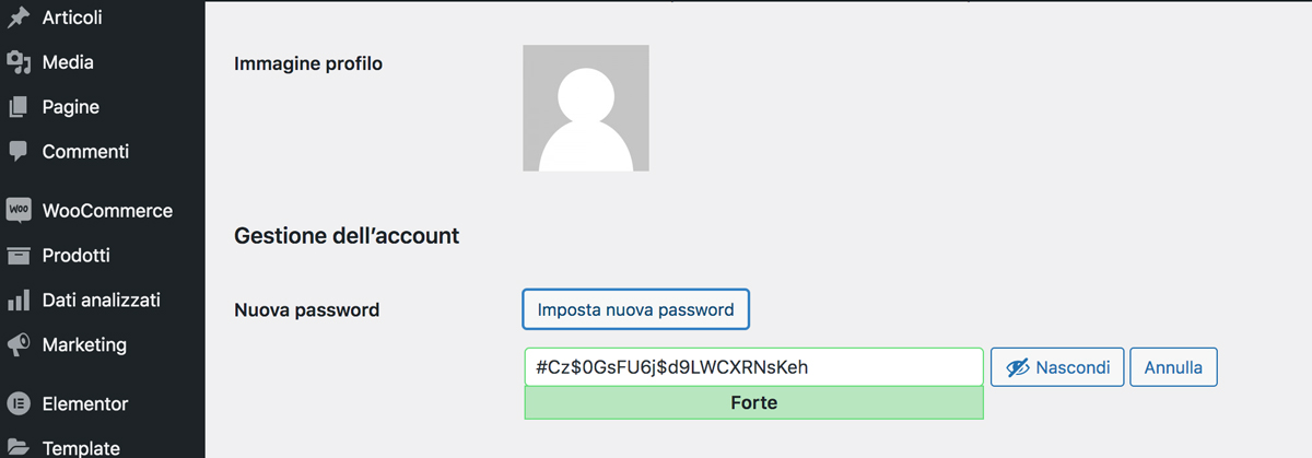 cambiare la password di WordPress dall'account utente