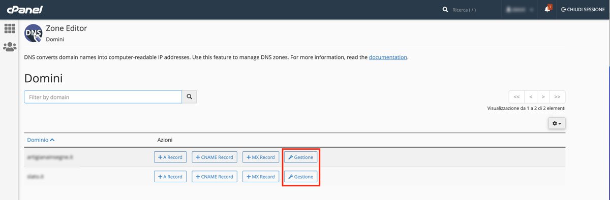 Pagina dell'editor di zona DNS su cPanel