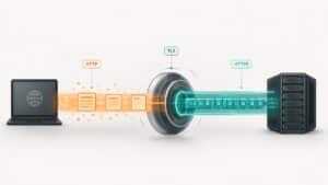 HTTP vs HTTPS con connessione HTTP che viene protetta tramite TLS