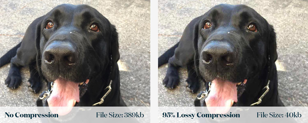 Un confronto tra le immagini prima e dopo la compressione dati lossy