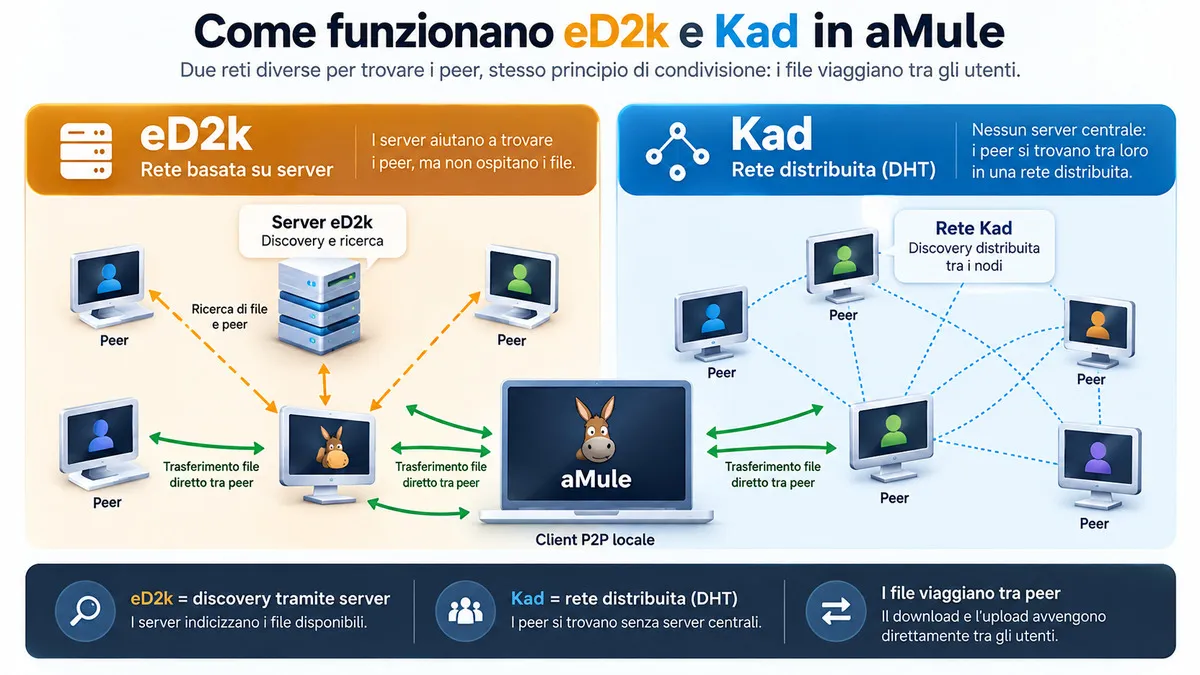 aMule: cos’è, come funziona, download, configurazione e differenze con eMule 1 Diagramma che mostra la differenza tra rete eD2k con server e rete Kad distribuita in aMule