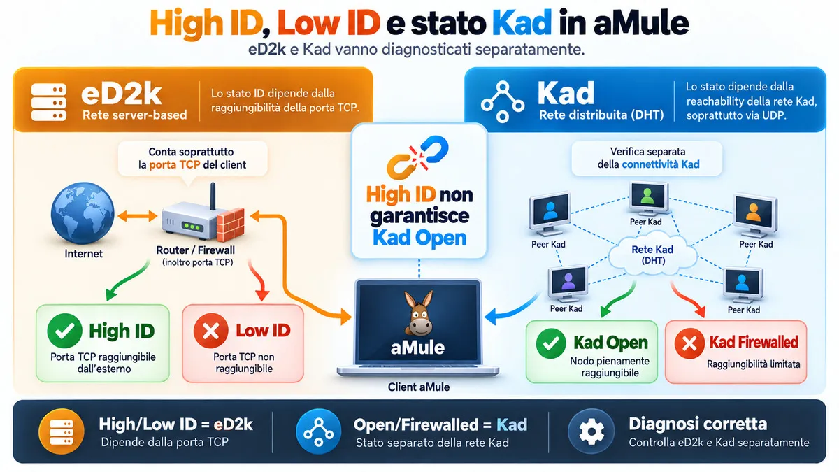 aMule: cos’è, come funziona, download, configurazione e differenze con eMule 2 Diagramma che distingue High ID e Low ID eD2k dagli stati Kad Open e Kad Firewalled in aMule